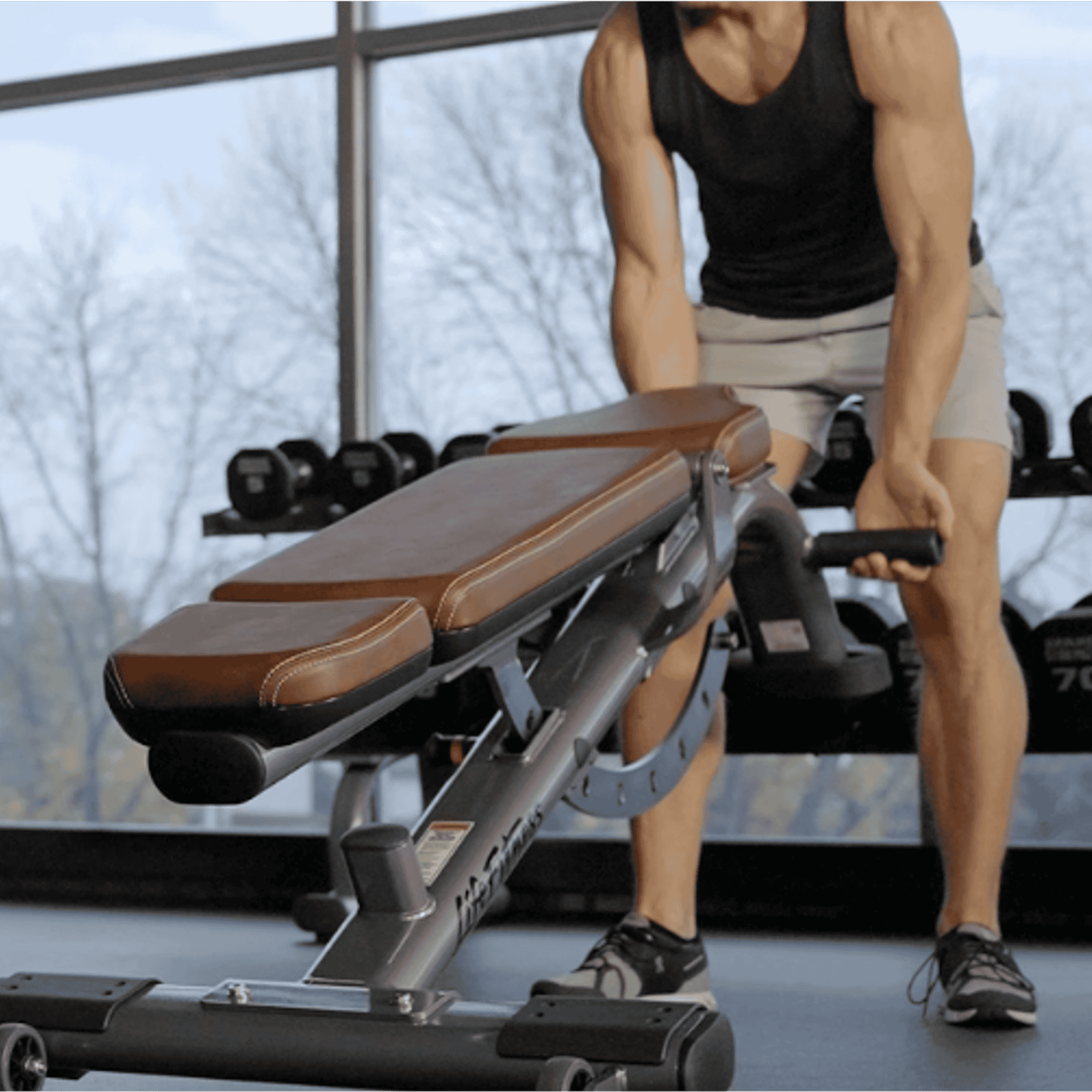 Weight bench online life fitness