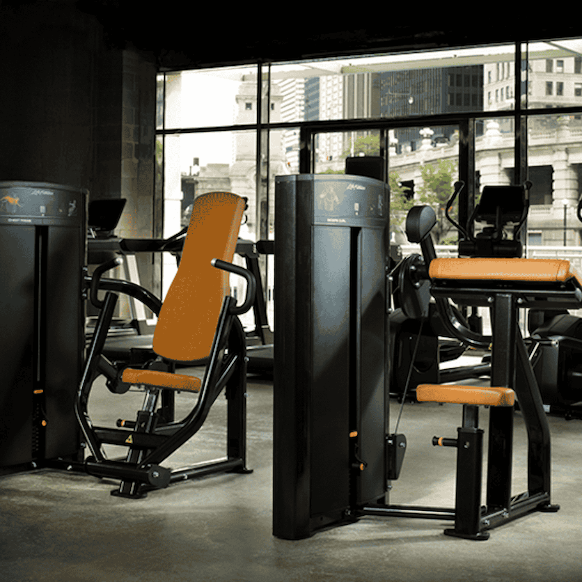 Iron life sales fitness equipment
