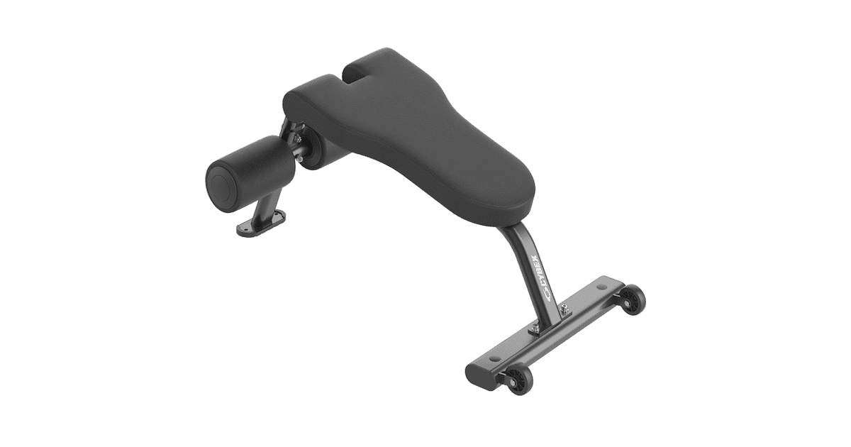 Cybex アイオン・シリーズ アブドミナル・ベンチ | Life Fitness