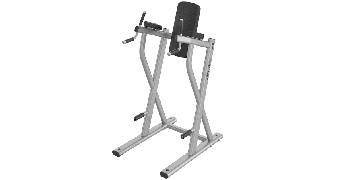 Life Fitness ディップ/レッグ・レイズ | Life Fitness