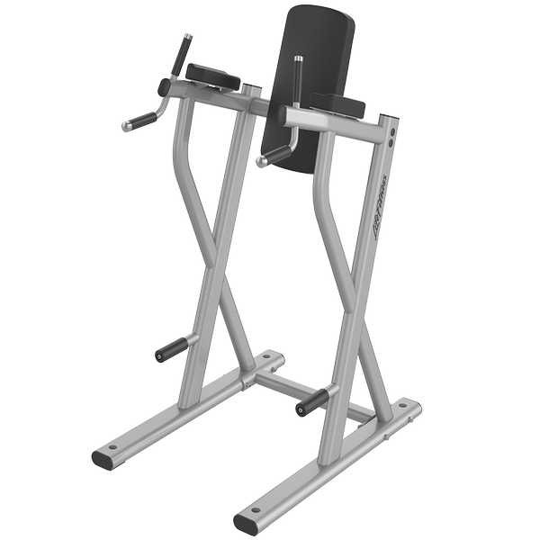 Optima Series Dip/Leg Raise | Life Fitness