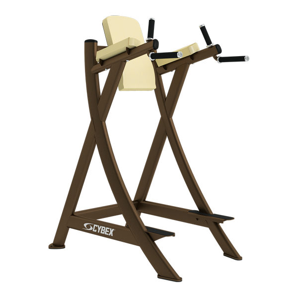 Triangle leg raise cheap