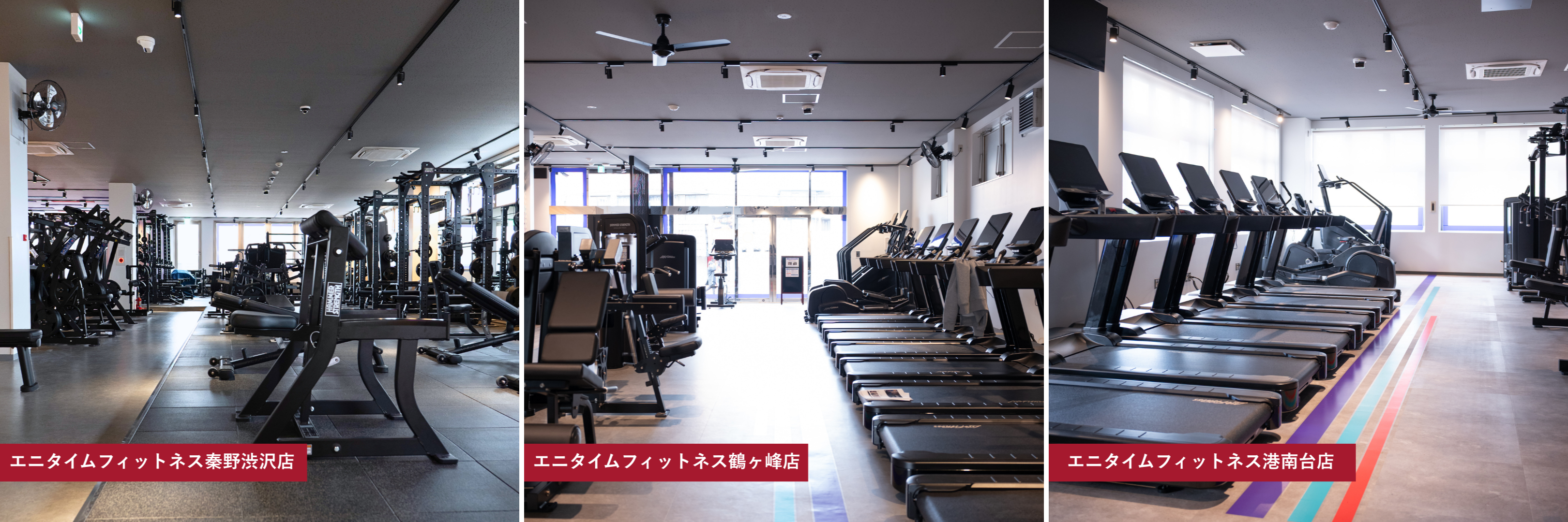 Anytime Fitness Partner Hub | Life Fitness