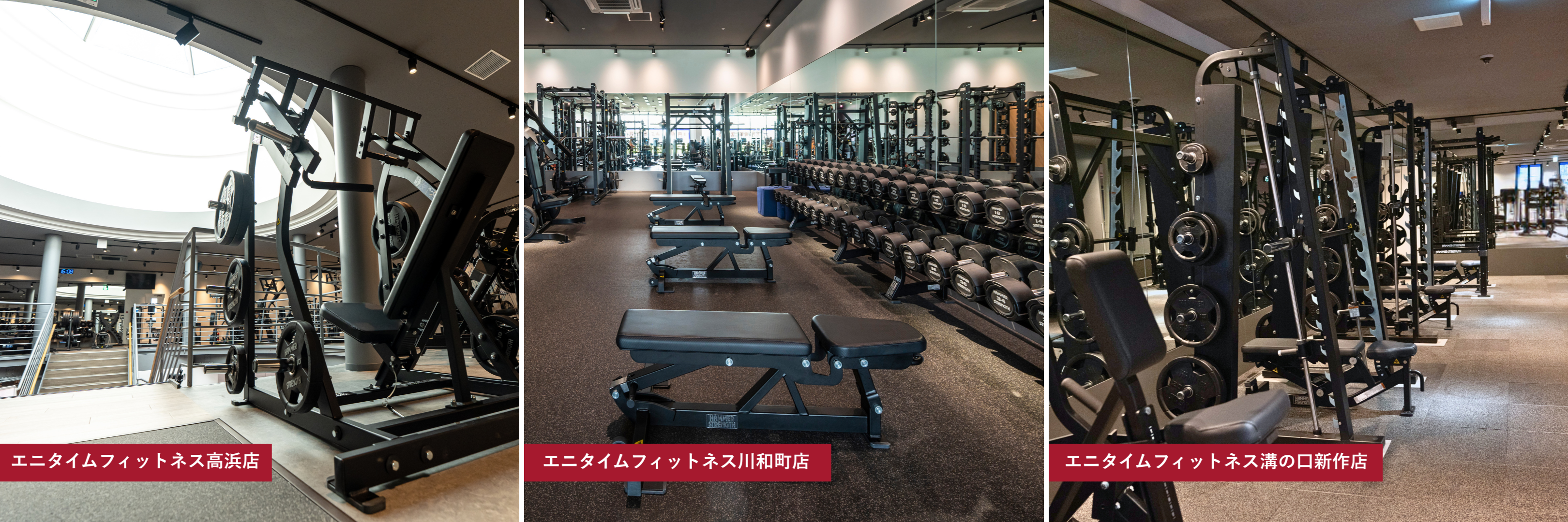 Anytime Fitness Partner Hub | Life Fitness